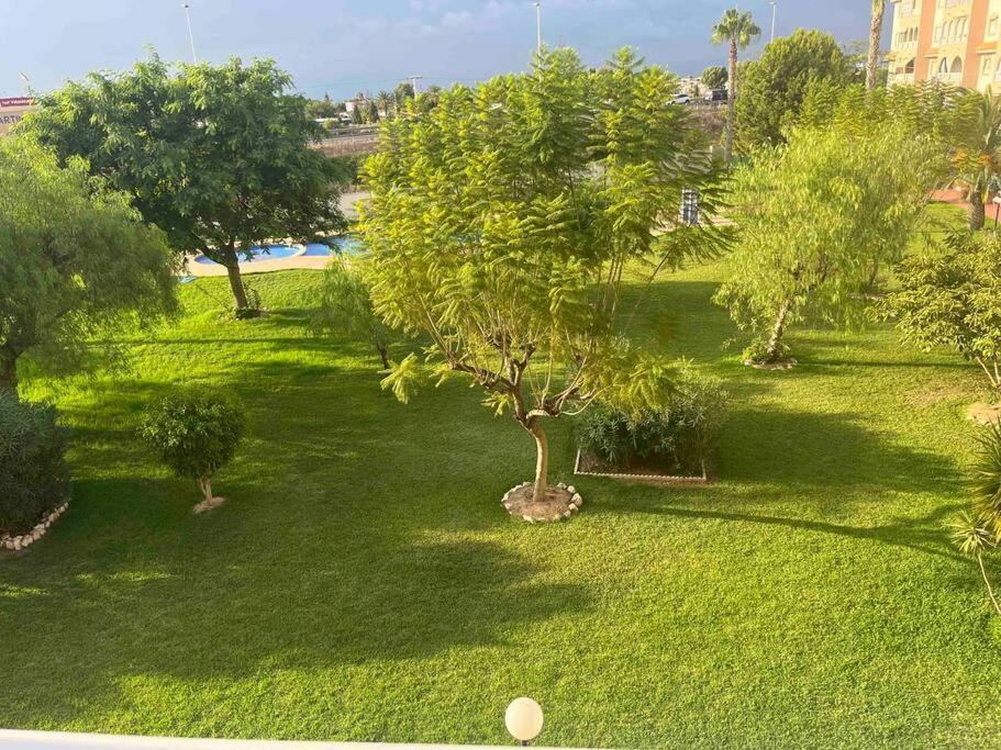 Casa Di Mateo With Garden View And Swimming Pool Apartment Torrevieja Exterior foto