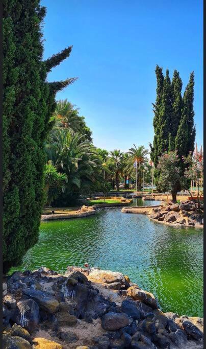 Casa Di Mateo With Garden View And Swimming Pool Apartment Torrevieja Exterior foto